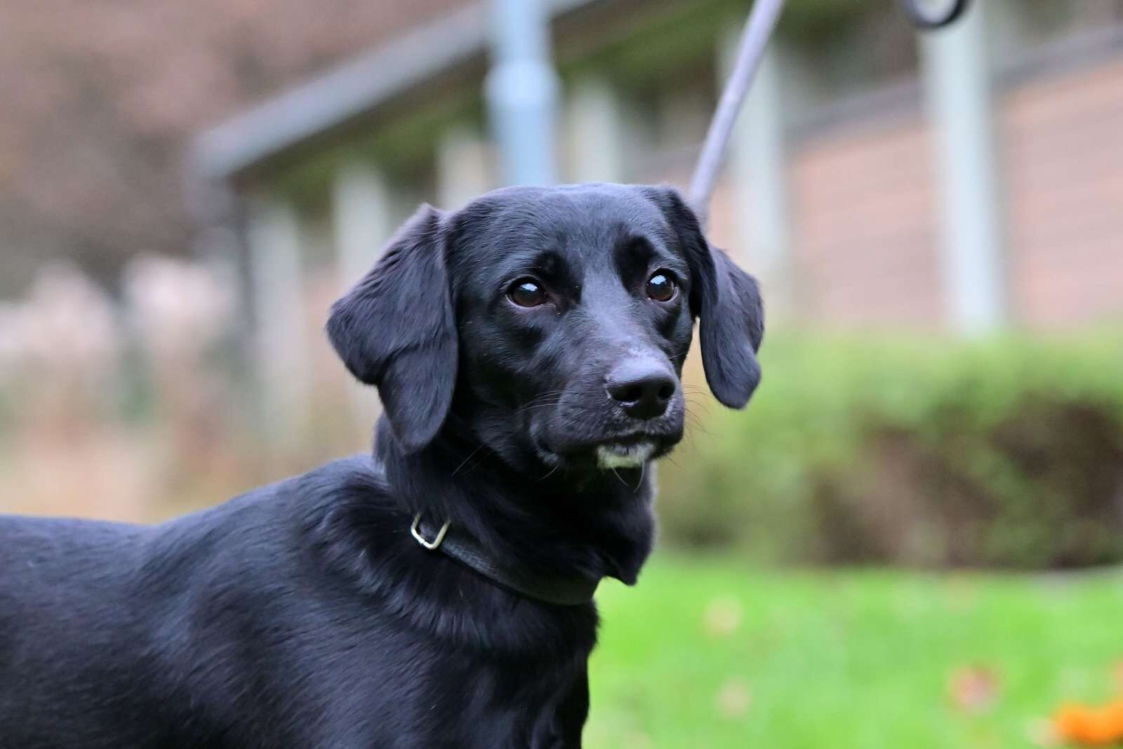 utulek 11 2025male--209 (1)